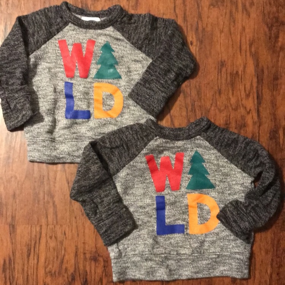 Knitted W🌲LD Sweater